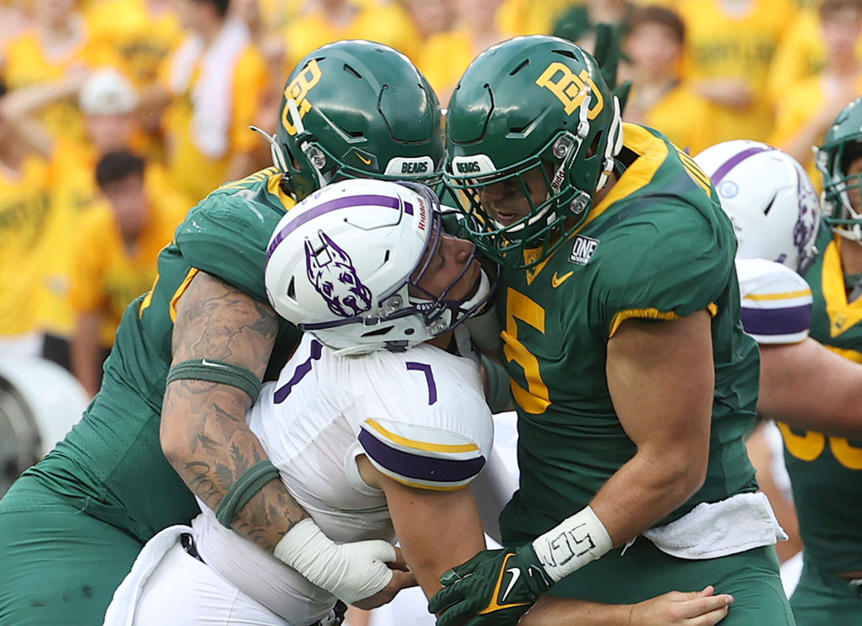 Baylor Albany main